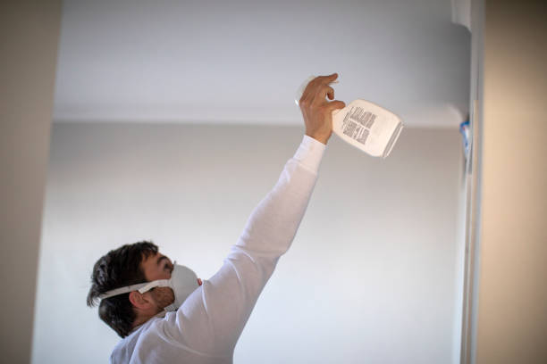 Best Mold Cleaning Services  in Mayfield, KY
